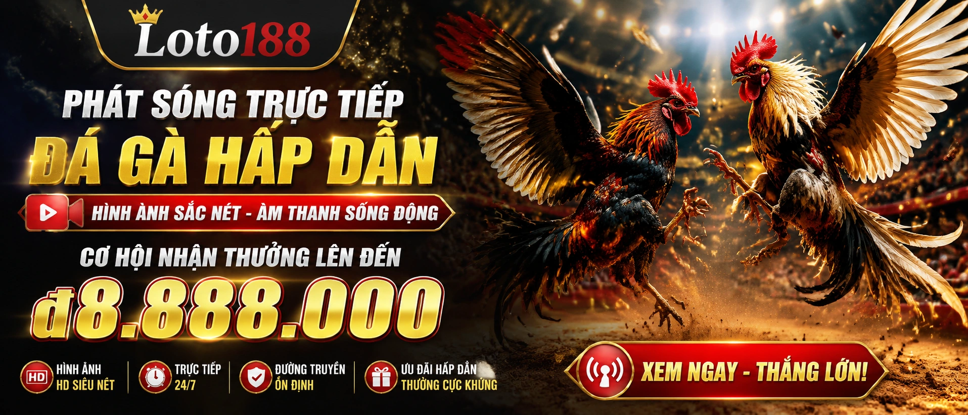 Khu vực xem Đá Gà Trực Tiếp trên loto188.com.bz